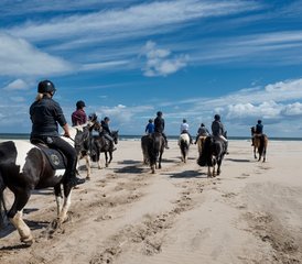 5-Daagse Op Maat Gemaakte Klassieke Paardrijavontuur aan de Causeway Kust in Ierland, Ierland - Photo 3