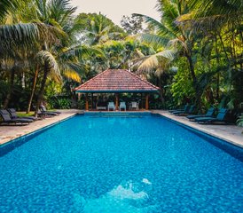 6 Day Writing Retreat with Yoga, Local Experiences, and Meditation in Muvattapuzha, Kerala, India - Photo 2