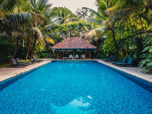 6 Day Writer's Retreat with Yoga, Local Experiences, and Meditation in Muvattapuzha, Kerala, India