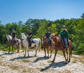 4 Day Horse Riding Holiday in the Heart of the Chantilly Region, France - Photo 4