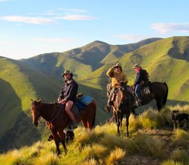 4 jours en stage d’équitation en Nouvelle-Zélande : campez comme des cow-boys et terminez au bord d’un lac privé - Photo 2