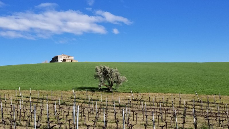 8 Day All-Inclusive Wine and Culinary Vacation in Abruzzo, Province of Teramo