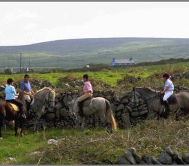 6 jours en stage d’équitation dans un château irlandais et des ruines monastiques à Whitegate, comté de Clare, Irlande - Photo 5