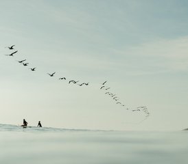 7 jours en stage de yoga et surf à Playa Grande, Guanacaste, Costa Rica - Photo 5