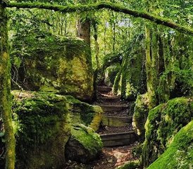 8 días de retiro de yoga y meditación en Antugnac, Francia: Conexión con la naturaleza - Photo 4