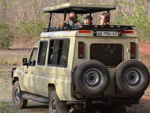 3 Day Adventurous Wildlife Safari in Mole National Park, Ghana with Hiking and Canoeing