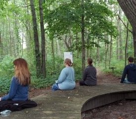 23-Daagse Holistische Yoga- en Meditatiereek van Zelfzorg Retreat in VS - Photo 1