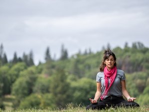 4 Day Yoga and the 12 Steps Retreat in Northern California, USA