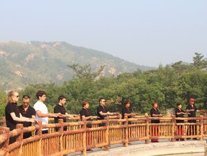 21 Days Tai Chi And Kung Fu Training In Shandong China - 