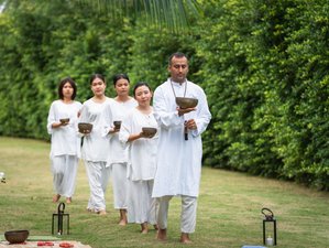 8 Day Cleansing and Detox Luxury Wellness Retreat in Khok Kloi, Thailand