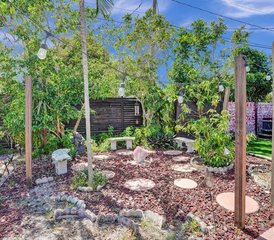 28 Day Transformation Detox, Meditation, and Yoga Retreat in Boca Raton, Florida, USA - Photo 3