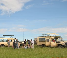7 Tage Safari in Tarangire, Serengeti, Ngorongoro-Krater und Lake Manyara, Arusha, Tansania - Photo 3