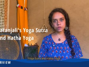 1 Day Online 3-Hour Introductory Yoga Course Over 6 Live Sessions