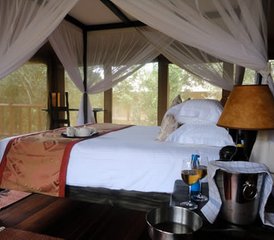 3 Tage Expedition Ballon Safari in Masai Mara, Kenia - Photo 4