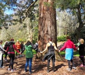 3 jours en stage de yoga et randonnée à Hepburn Springs, Australie - Photo 4