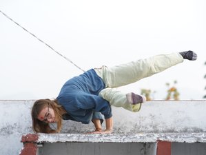 23 Day 200-Hour Yoga Teacher Training in Rishikesh, India