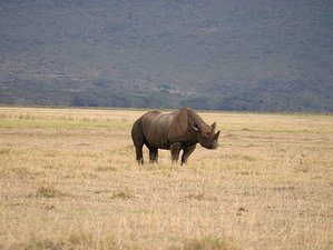 3 Days Mkomazi National Park Safari