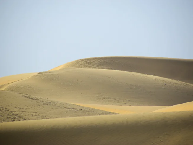 8 Day Desert of Rajasthan Guided Motorcycle Tour in India
