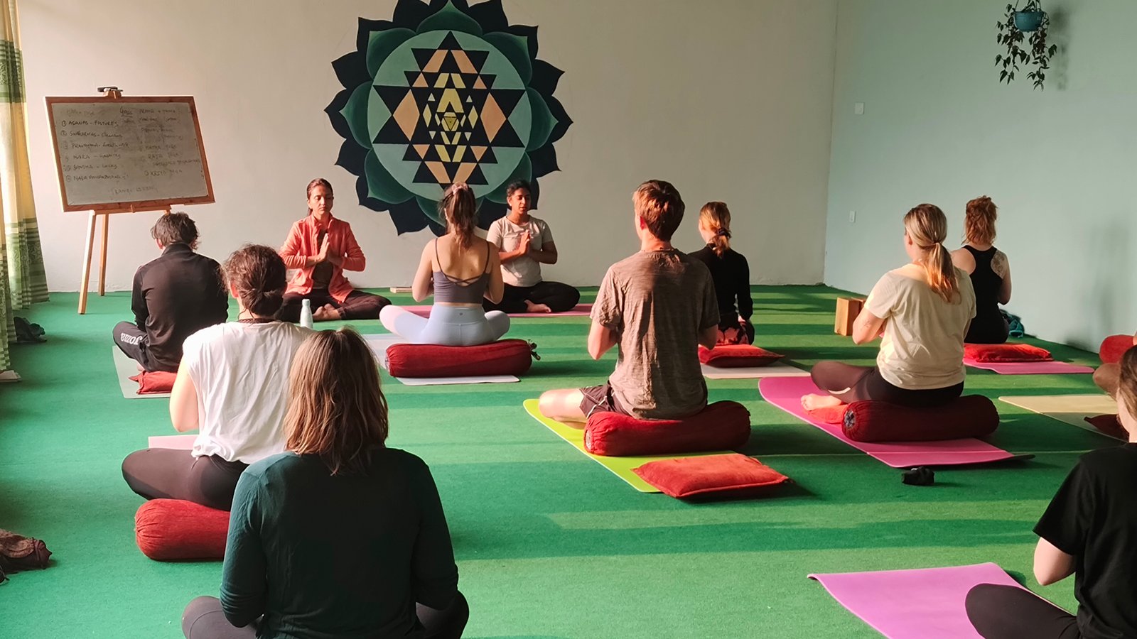 Teaching Accessible Yoga