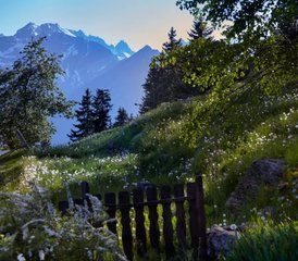 3 Day Live Free: Intensive Yoga, Meditation, and Breathwork Retreat in Faido, Switzerland - Photo 5