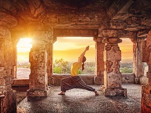 33 Day The Vishwa Yoga Journey Ayurvedic Yoga Teacher Training in India and Indonesia