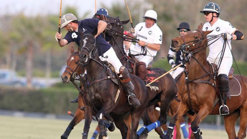 7 Day Ultimate Polo Holiday in Sotogrande