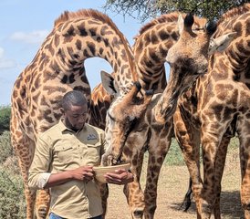 3 Tage private Mittelklasse-Safari in den Serengeti-Nationalpark und zum Ngorongoro-Krater in Tansania - Photo 3