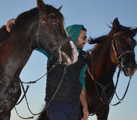 27 jours en stage d’équitation avec yoga quotidien sur la côte atlantique du Maroc - Photo 1