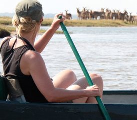104 Tage Camp Zambezi Safari im Mana Pools Nationalpark, Simbabwe - Photo 1