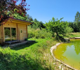 3 Tage Yoga Retreat zum Auftanken und Kraft Schöpfen in schönem Seminarhaus im Schwarzwald - Photo 5