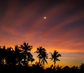 4 Day Unlimited Yoga and Intro to Freediving in Lembongan, Bali, Indonesia - Photo 5