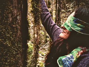 5 Day Easter Wellness Retreat: A Journey of Tantra Yoga and Breathwork in Steckborn, Switzerland