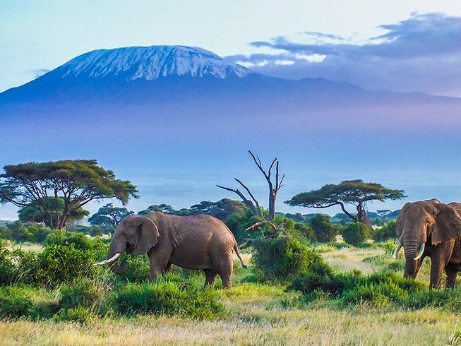 10 Days Kenya Wildlife And Beach Safari