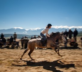 7 Day Wild Riding Holiday in Rila National Park, Bulgaria - Photo 3