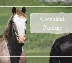 3 Day Cowhand Beginner Horse Riding and Ranch Holiday in Rossburn, Manitoba, Canada - Photo 2