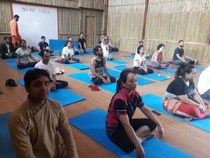 4 jours en stage de yoga et randonnée dans la nature de Katmandou, Népal
