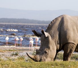 10 jours aventure safari Le meilleur du Kenya et de la Tanzanie, Kenya et Tanzanie - Photo 2