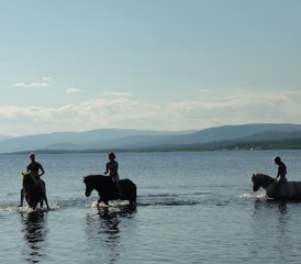 5 Tage Biellugis Trail Reittour in Schweden - Photo 4