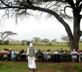 6-Daagse Groepssafari Naar Tarangire, Serengeti En Ngorongoro In Tanzania - Photo 4