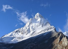 Tapovan Retreats & Trips