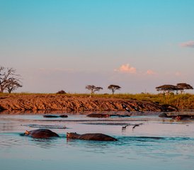 7 Day Tanzania Cultural and Big Five Safari: From Maasai Lands to The Heart of The Serengeti - Photo 3