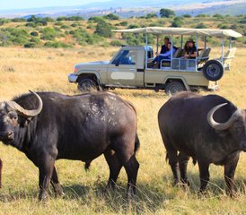 3 días de safari de acampada en Masái Mara con paseo en globo aerostático - Photo 2
