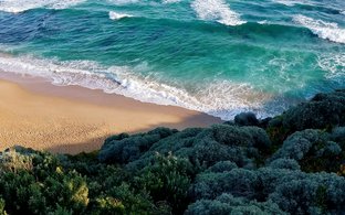 Australia Retreats & Trips