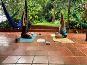 5 días de retiro de yoga y Ayurveda durante la temporada de ballenas en el Pacifico Colombiano