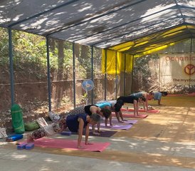 11 jours-200h en formation de professeur de yoga hybride avec sonothérapie à Goa, Inde - Photo 4