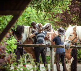 3 Tage Rhön entdecken auf dem Pferderücken – Reitwochenende in Dermbach, Deutschland - Photo 4