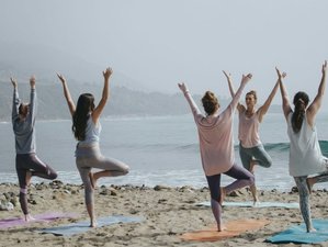 5 Day Women’s Entrepreneur Retreat in Punta Cana, Dominican Republic Where Business Meets Wellness