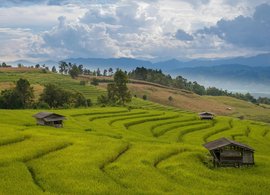 Chiang Saen Retraites et Voyages