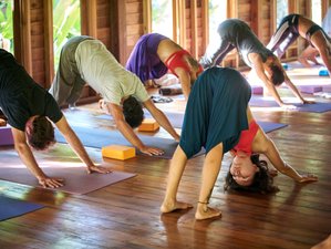 7 días en retiro de yoga en una isla paradisiaca de Phang Nga, Tailandia