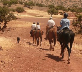 6 jours en stage d’équitation à Essaouira, Maroc - Photo 3